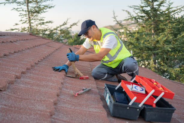 Best New Roof Installation  in Eddyville, KY