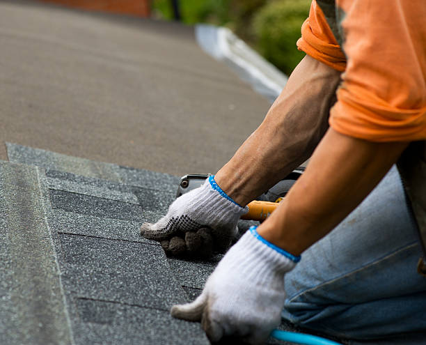 Best Gutter Installation and Roofing  in Eddyville, KY